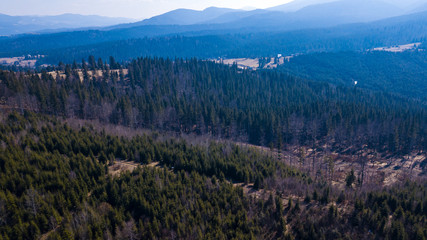 Fototapeta na wymiar Forest mountains hills coniferous forest on Mount Carpathians Ukraine aerial photography.