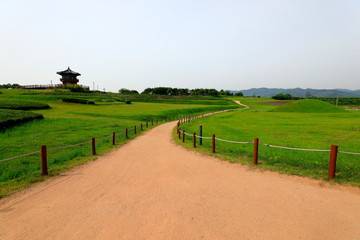 Obraz premium 보행로가 보이는 아름다운 공원의 풍경