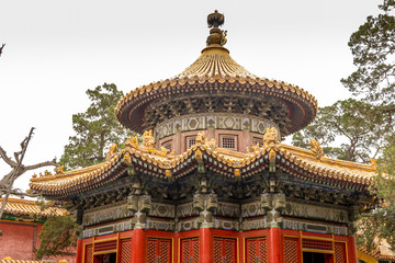 Fototapeta premium The Imperial Palace, Forbidden City, Beijing, China