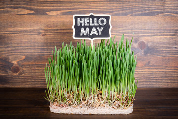 Hello May. Greetings and joy for spring