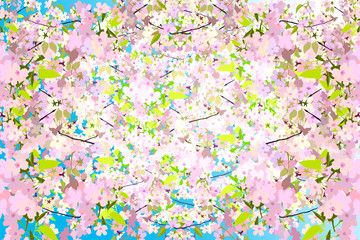 Obraz na płótnie Canvas 桜の満開のお花見