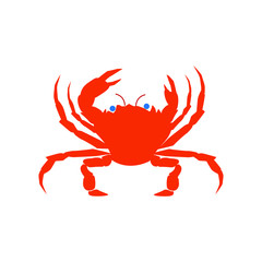 vector spider crab on white background