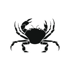 vector spider crab on white background