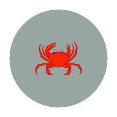 vector spider crab on white background
