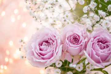 Obraz na płótnie Canvas 淡いピンクのバラ　花のキラキラの背景