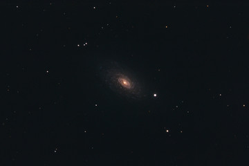 The Sunflower Galaxy Messier 63 in the constellation Canes Venatici photographed with a Maksutov telescope from Mannheim in Germany.