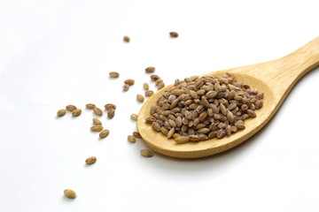  Pearl barley on a wooden spoon on a white background