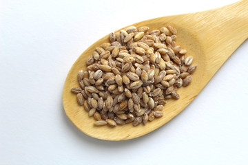 Bright sky with white clouds on a sunny day