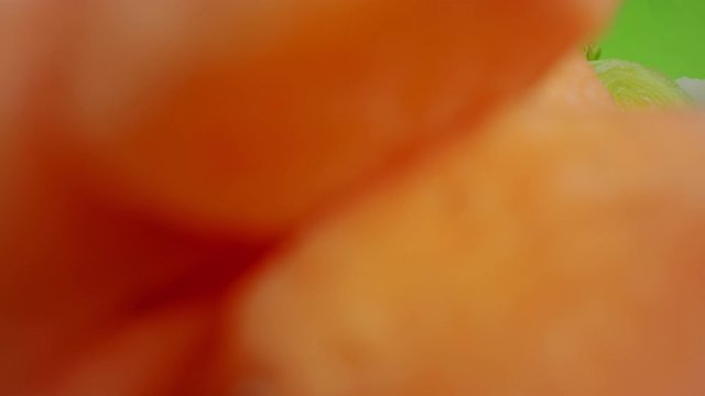 A 4K close up shot of a orange pieces of vegetable. Over the top shot panning, ingredients for a soup. Learning to cook.  Close up, reveal shot of green vegetable. Celeriac