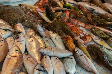 Assortment of colorful fresh sea fish at the market in the island Ortigia in province of Syracuse in Sicily