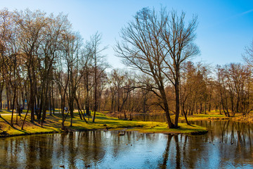 Early spring landscape of mixed European forest and water ponds in Konstancin-Jeziorna Springs Park - Park Zdrojowy w Konstancinie-Jeziornie - near Warsaw in Poland