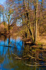 Early spring landscape of mixed European forest and water ponds in Konstancin-Jeziorna Springs Park - Park Zdrojowy w Konstancinie-Jeziornie - near Warsaw in Poland