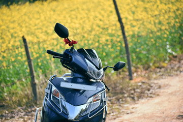 new blue color scooty stand beside a mustard field with green and yellow background