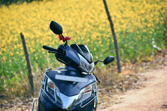 new blue color scooty stand beside a mustard field with green and yellow background