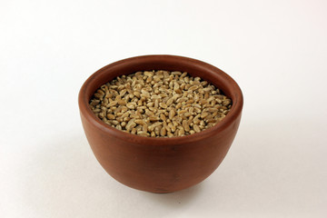 wheat in a bowl