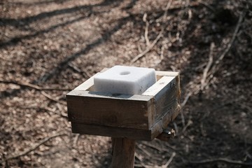 Salt lick - a place for feeding forest animals. Feed for forest animals. Fall season