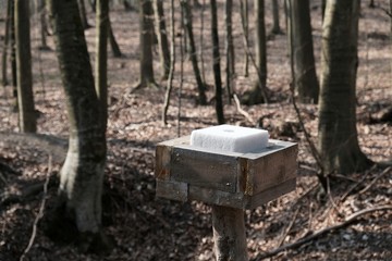Salt lick - a place for feeding forest animals. Feed for forest animals. Fall season