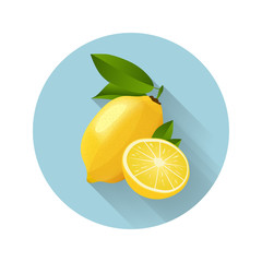Lemon vector illustration. Lemon icon. Fresh healthy food - organic natural food isolated