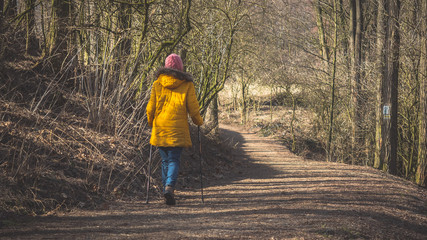 spacer wczesną wiosną po lesie © Tomasz