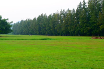 Obraz premium Golf course in the evening