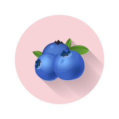 Blueberries vector illustration. Blueberry icon. Fresh healthy food - organic natural food isolated