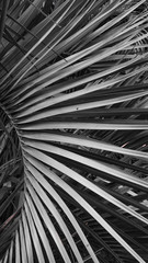 abstract metal background