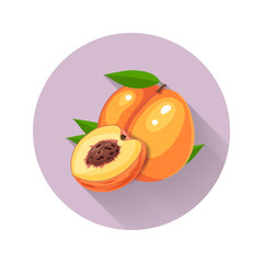 Peach vector illustration. Peach icon. Fresh healthy food - organic natural food isolated