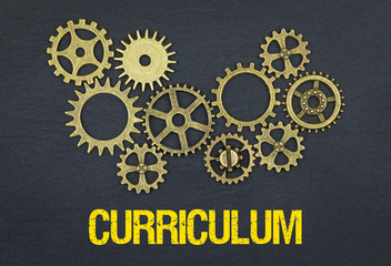 Curriculum