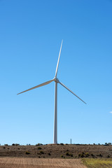 Parque eólico en la tierra produce energía eléctrica.