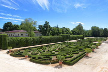 park with hedges in colorno village in italy