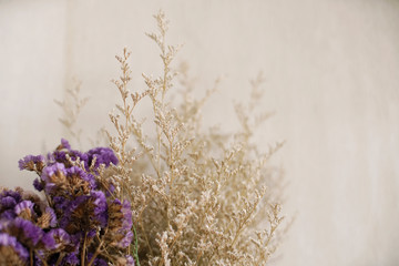Dried brown and purple flower plant                              