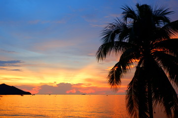 Fototapeta na wymiar Coconut trees by the sea and tropical sky in the evening