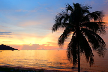 Coconut trees by the sea and tropical sky in the evening