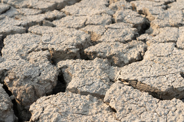 Close Up The impact of global warming on sun-cracked soil and the loss of all fauna and flora.