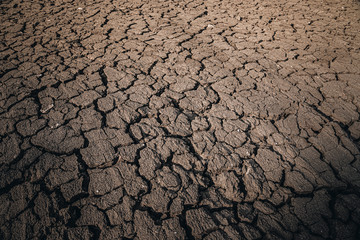 The impact of global warming on sun-cracked soil and the loss of all fauna and flora.