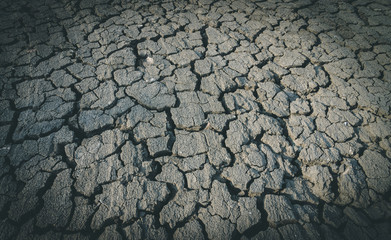 The impact of global warming on sun-cracked soil and the loss of all fauna and flora.