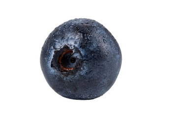 Macro shot of the fresh blueberry with water drops isolated on white background