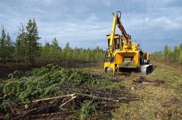 Fototapeta na wymiar Bandit 2090 chipper. Clearing the felling site from branches.