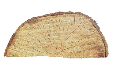 Cut piece of wood isolated on whhite background.