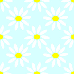 Pattern chamomile on blue color background, Botanical Floral Decoration Texture Wallpaper