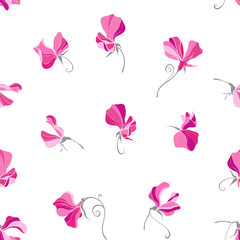 Fototapeta na wymiar Sweet pea flowers. Seamless vector pattern on white. Floral background.
