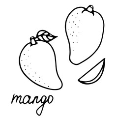 Hand drawn vector isolated food icon. Black outline illustration of  tropical fruit. Mango icon. 