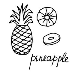 Hand drawn vector isolated food icon. Black outline illustration of tropical fruit. Pineapple icon. 