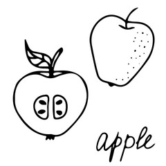 Hand drawn vector isolated food icon. Black outline illustration of fruit. Apple icon. 