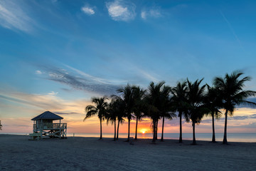 Palm trees on Miami Beach at sunrise in South Beach, Florida