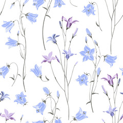 Seamless vector pattern with flowers campanula on white. Nature background.