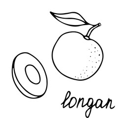 Hand drawn vector isolated food icon. Black outline illustration of tropical fruit. Longan icon. 