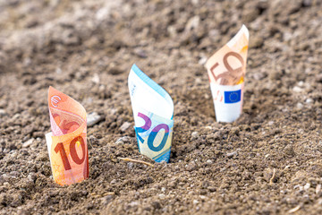 Euro Noten Geld in Erde Garten gepflanzt wachsen auf