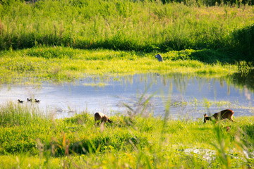 아름다운 호숫가의 풍경
