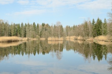 Fototapeta na wymiar Moorsee im Frühling